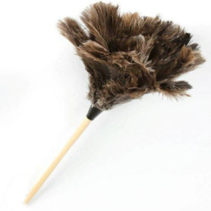 Feather Duster Inverted Large Cleaner